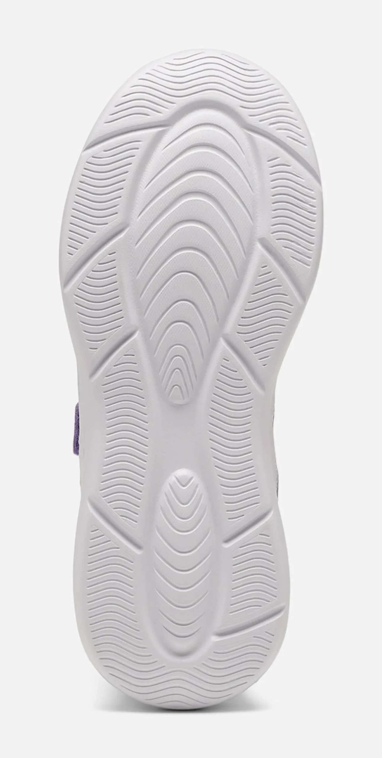 LEJON, Sneakers