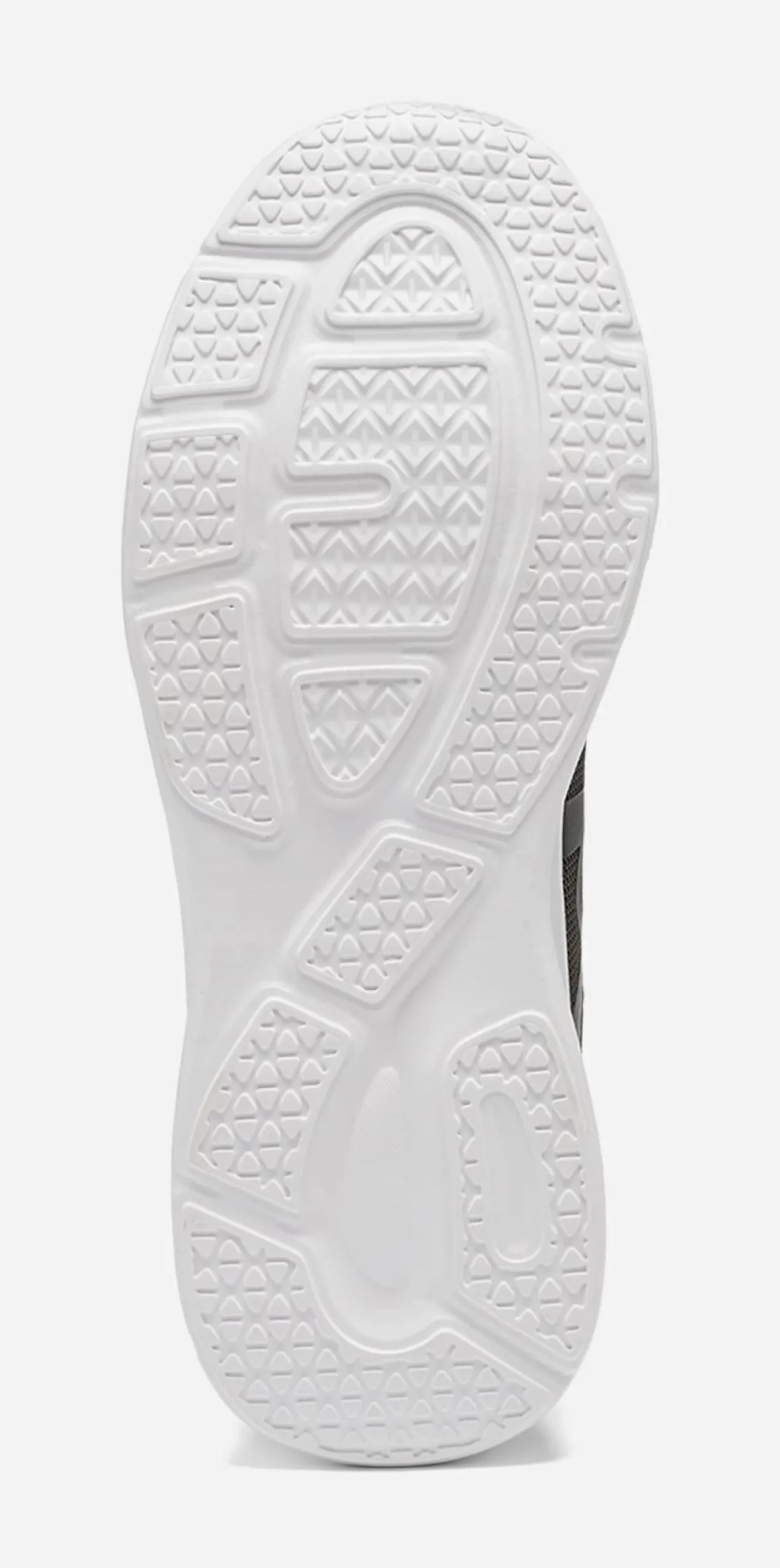 LEJON, Sneakers