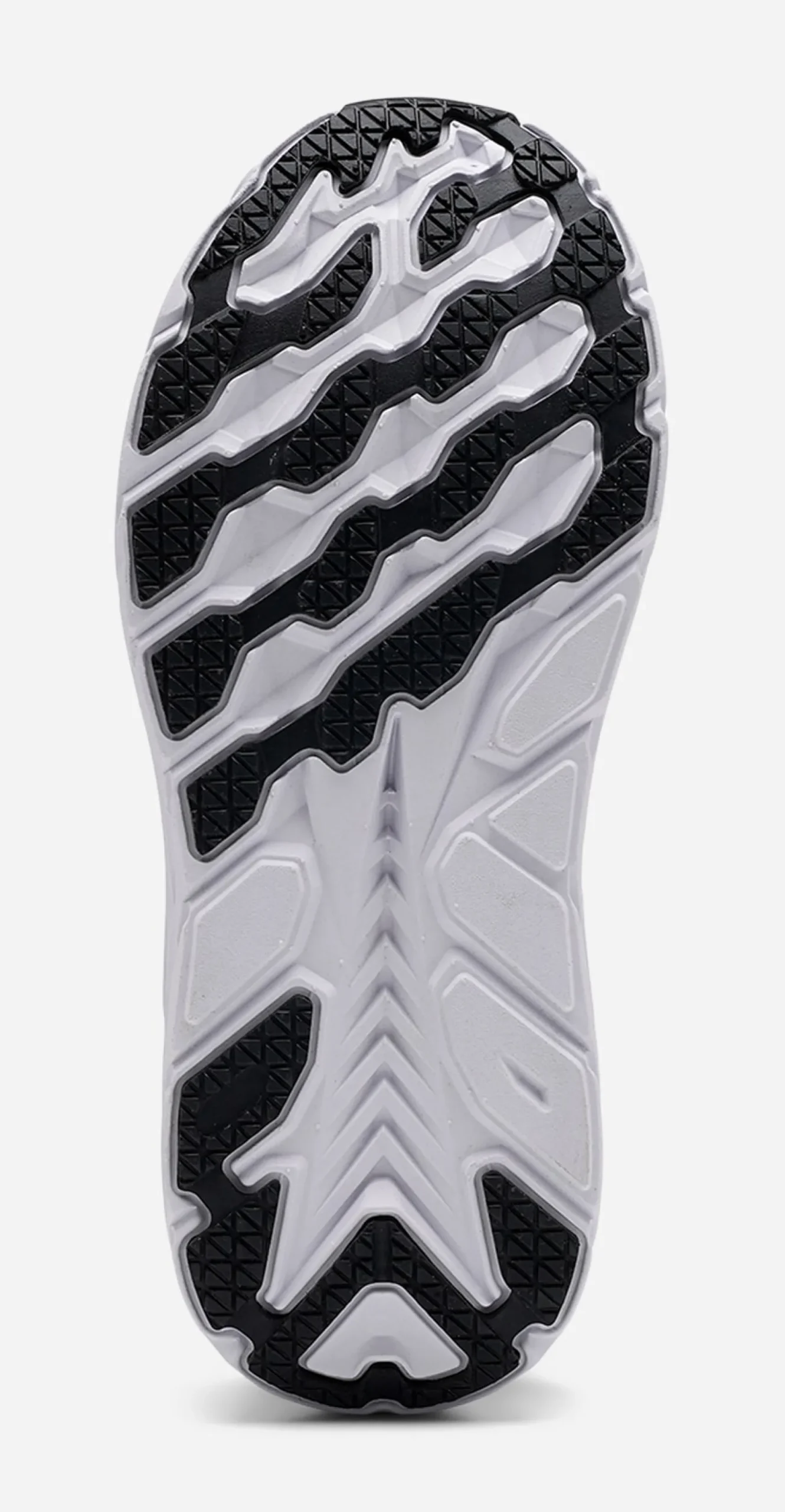 LEJON, Sneakers